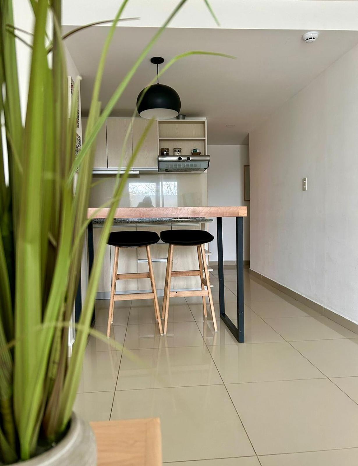 Penguins Flats 5 Apartment Ушуая Екстериор снимка